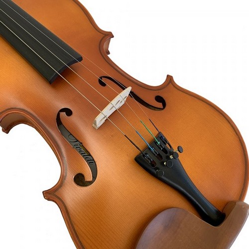 Monumental juguete Gestionar Violín Vivaldi 4/4 Con Estuche, Satinado – AUDICAMGT.COM